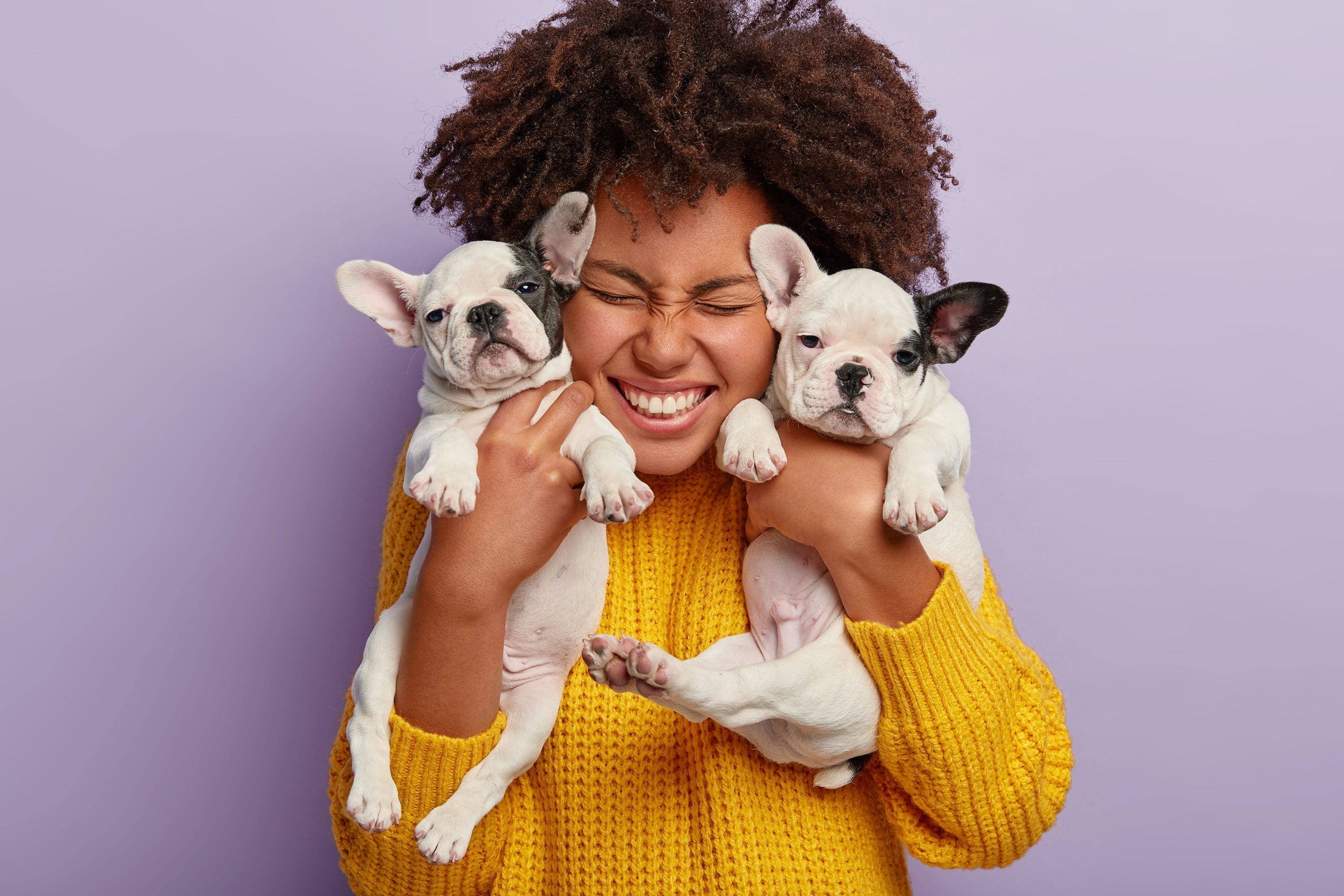 How to build a healthy mealtime routine for your dog